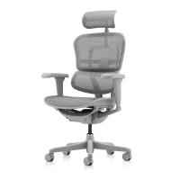 Ортопедическое кресло Falto Ergohuman 2 Ultra Серое Ортопедическое кресло Falto Ergohuman 2 Ultra Серое