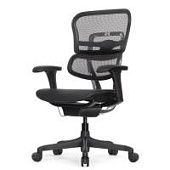 Ортопедическое кресло Falto Ergohuman 2 Project Ортопедическое кресло Falto Ergohuman 2 Project